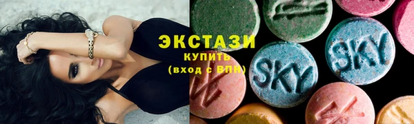 ECSTASY Богородск